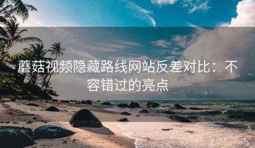 蘑菇视频隐藏路线网站反差对比：不容错过的亮点