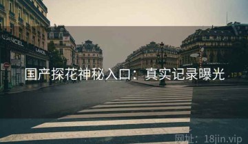 国产探花神秘入口：真实记录曝光