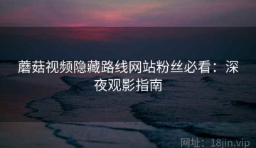 蘑菇视频隐藏路线网站粉丝必看：深夜观影指南