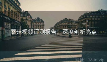 蘑菇视频评测报告：深度剖析亮点