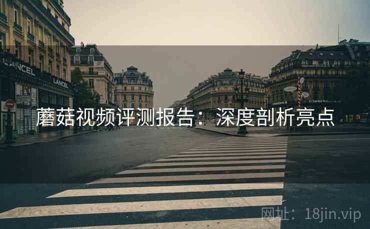 蘑菇视频评测报告：深度剖析亮点