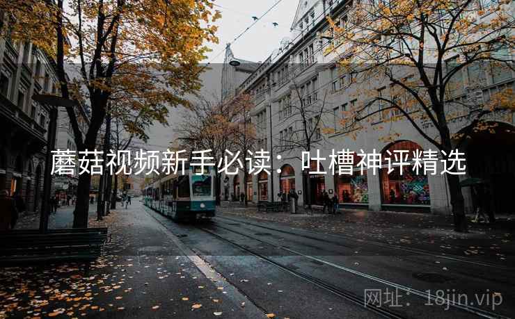 蘑菇视频新手必读：吐槽神评精选