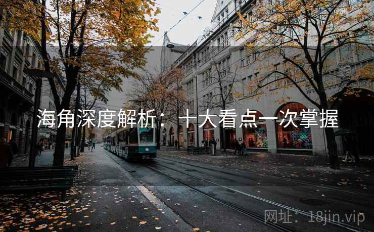 海角深度解析：十大看点一次掌握