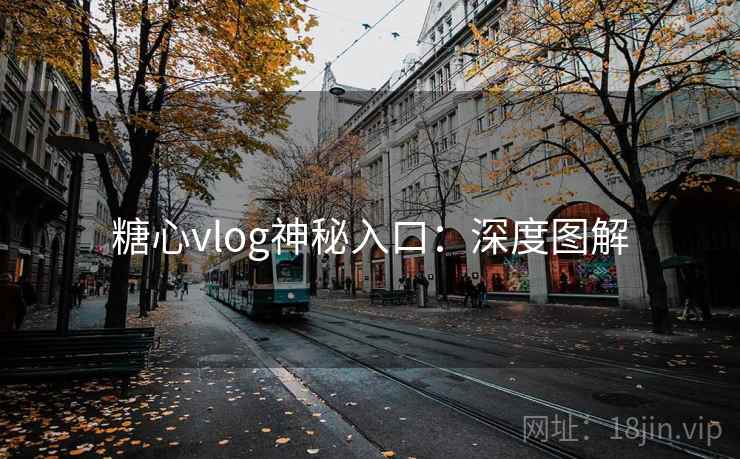 糖心vlog神秘入口：深度图解