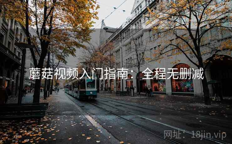 蘑菇视频入门指南：全程无删减
